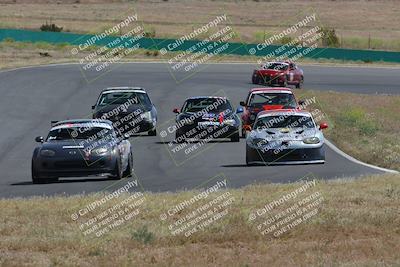 media/May-04-2024-Lucky Dog Racing (Sat) [[d39539b3f3]]/Race Pics/1015am (Turn 2)/